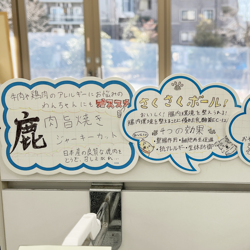 １年生、POPの作成！